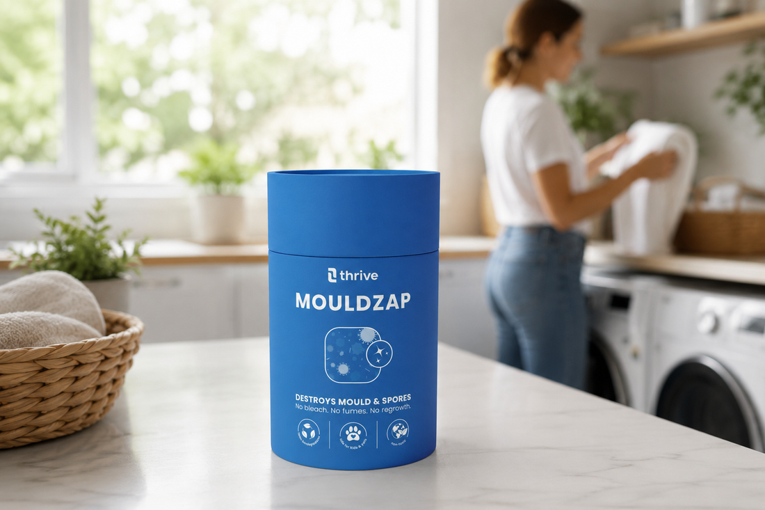 Is Black Mould Dangerous? What Every Household Should Know
