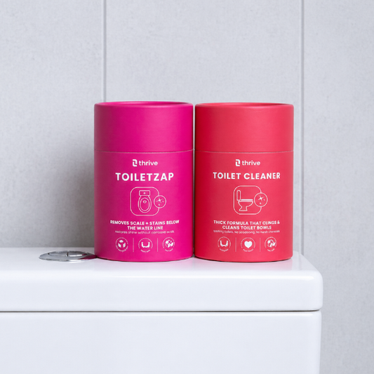 Toilet Cleaner 馬桶清潔套裝
