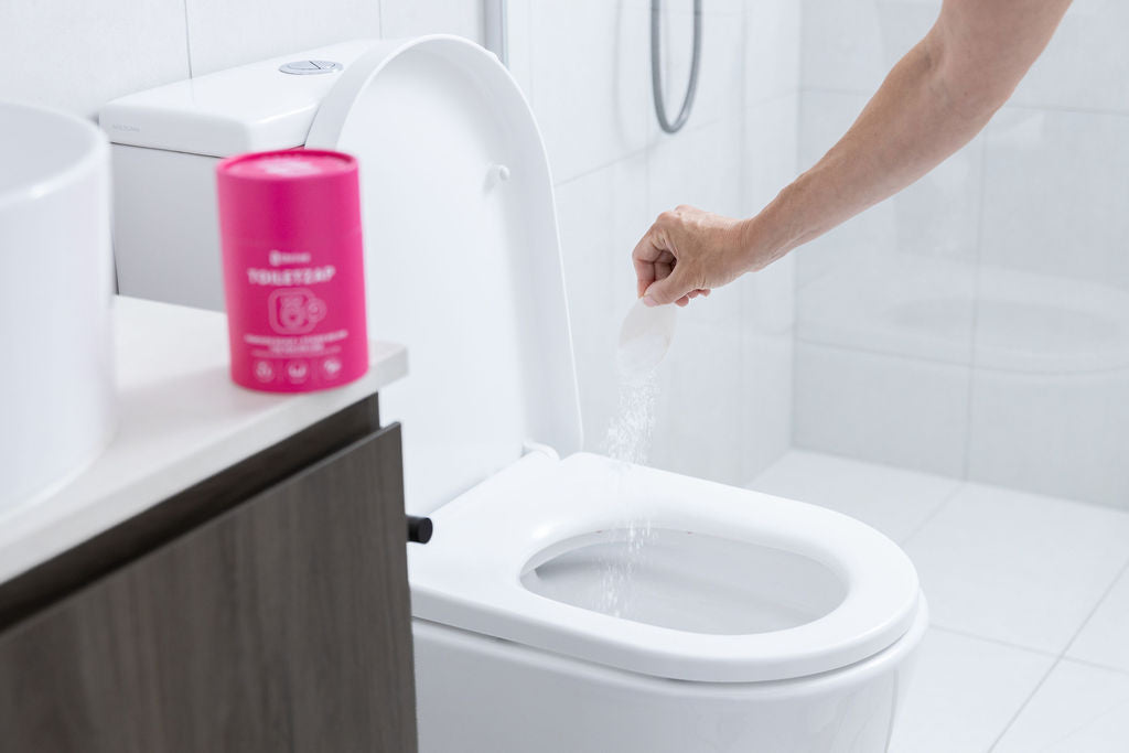 Toilet Cleaner 馬桶清潔套裝