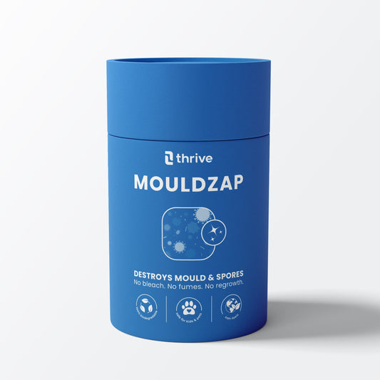 MOULDZAP mould remover tub — front view, destroys mould and spores